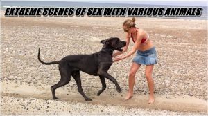EXTREME SCENES OF SEX WITH VARIOUS ANIMALS