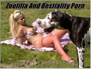 Zoofilia And Bestiality Porn